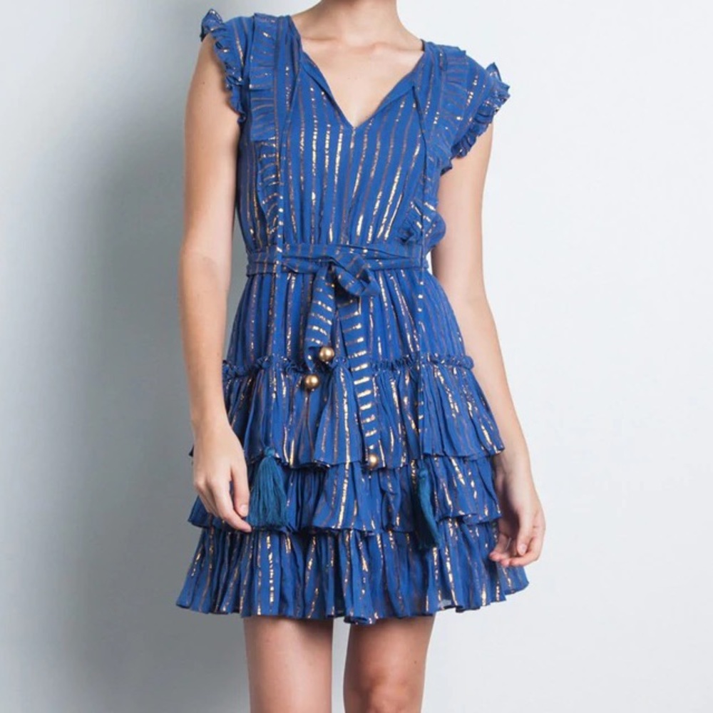 Karina Grimaldi Blue Metallic-Striped Ruffle Mini Dress